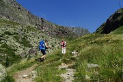 Al Lago Rotondo di Trona (2256 m) e sul Pizzo Paradiso (2493 m) il 15 luglio 2015 - FOTOGALLERY